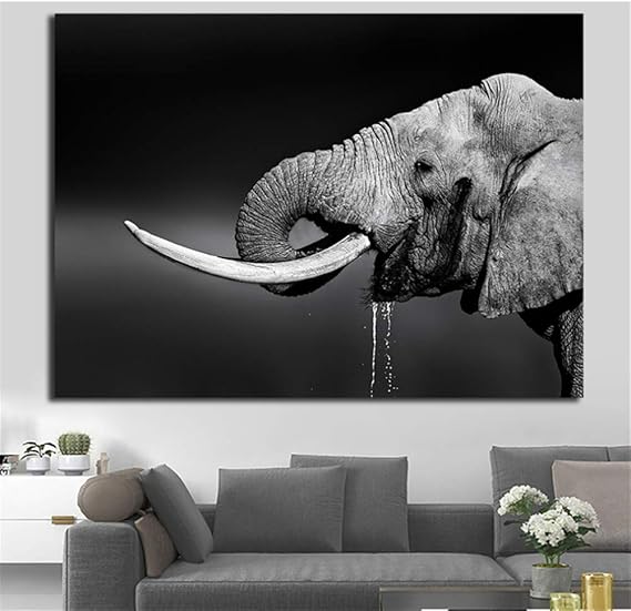 Amazon.com: RWING Black and White Elephant Wall Art Pictures Painting
