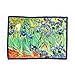 Smartie Microfiber Cleaning Cloth for Touch Screens Van Gogh Irises