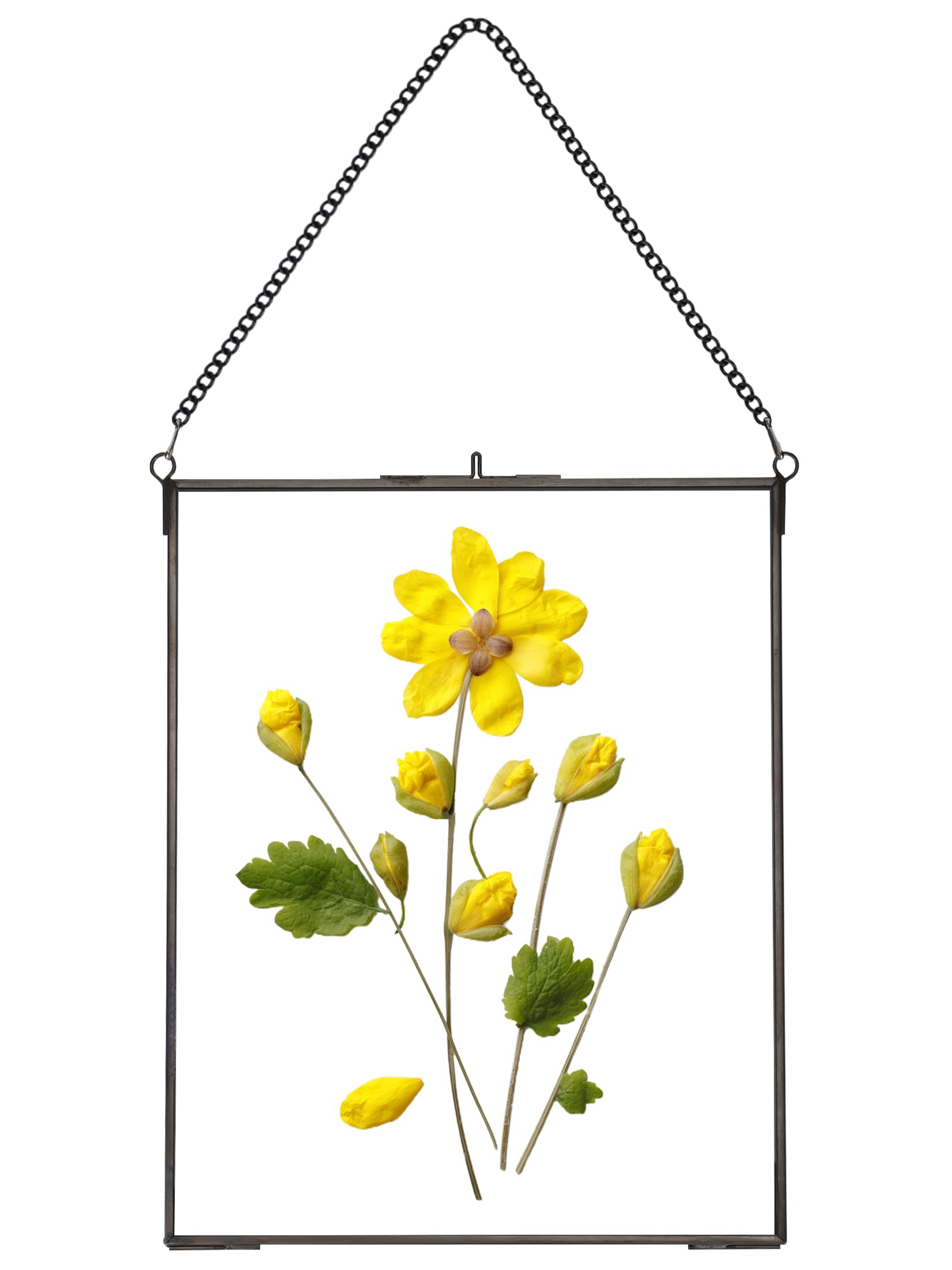 REDHUGO Hanging Pressed Flower Frames, Double Glass Floating Picture Frame Handmade, Glass Frame for Pressed Flowers, Vintage Brass Picture Frame for Artwork Wall Display Mount, Black