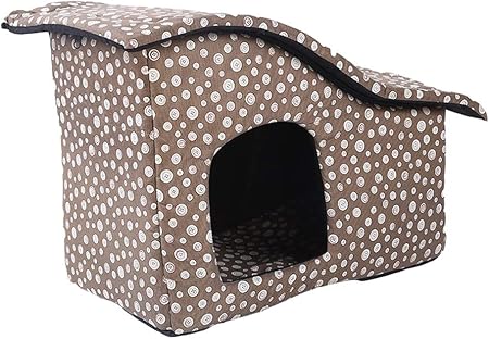 satin angora rabbit for sale