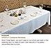 AHOLTA DESIGN Turkish Ivory Thanksgiving Tablecloth Square 70