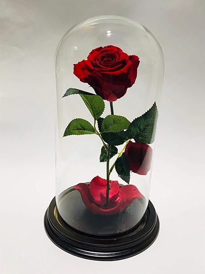 Rosa dentro de campana de cristal, diseño de la Bella y la Bestia