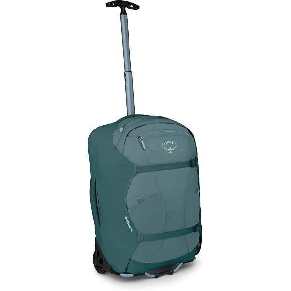 Amazon.com: Osprey Farpoint Men's Wheeled Travel Pack 36L, Black
