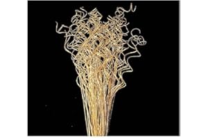 SHINODA DESIGN CENTER 24-28" Gold Sparkle Curly Ting Ting Branch