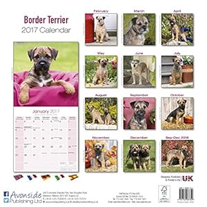 Border Terrier Calendar 2017 - Dog Breed Calendars - 2016 - 2017 wall calendars - 16 Month by Avonside