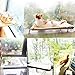Cat Window Perch Cat Hammock Bed Window Seat with Durable Heavy Duty Suction Cups Cat Bed Holdsup to 50Lbs (Extra 2 Suction Cups) Pet Resting Seat Mount onto Window for Space Saving Sunba (Beige)