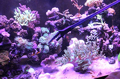 AquaticHI Aquarium Tongs 27 inch (70 cm), 100% Reef Safe, Multi Purpose for Fresh and Saltwater Fish Tanks, Clip Plants, Spot Feed Fish and Coral, Keep Hands Dry and Tank Free from Contamination - Thumbnail 7