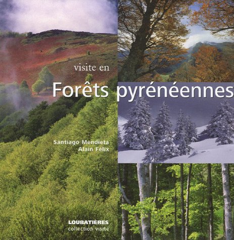 Visite en forêts pyrénéennes