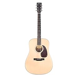 Eastman E1D Dreadnought Guitar with Gig Bag