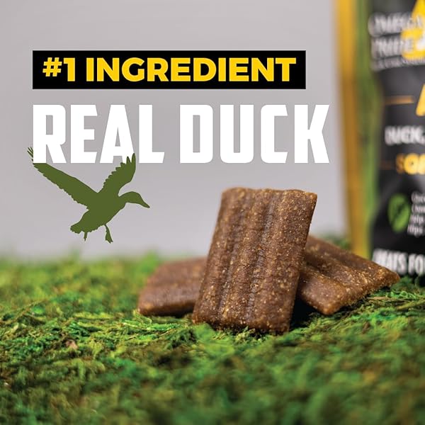 SPORTSMAN’S PRIDE FIELD MASTER ACTIVE HIP & JOINT DUCK, SWEET POTATO & BERRY RECIPE GRAIN-FREE JERKY BITES DOG TREATS, 5 OZ.