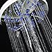 Aquadance Antimicrobial 6-Setting Shower Head, Soft Purple/Chrome, 6