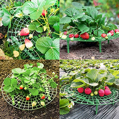 ANGTUO 10 Pack Strawberry Supports for Garden Strawberry Plant Support