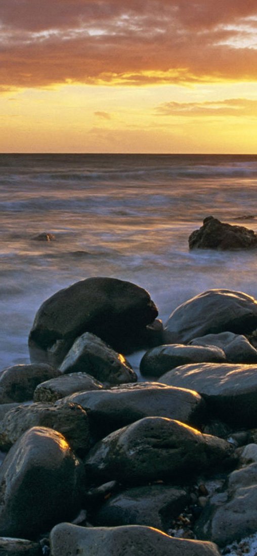 PeelitStickit, Beautiful Nature Wall Murals, ID-1226, vinyl