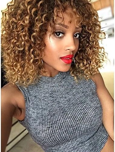 RUISENNA Afro Curly Hair Wigs Brown Blonde Mixed Wig for black Women 100% Heat Resistant Fiber Synthetic Wigs