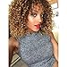 RUISENNA Afro Curly Hair Wigs Brown Blonde Mixed Wig for balck Women 100% Heat Resistant Fiber Synthetic Wigs