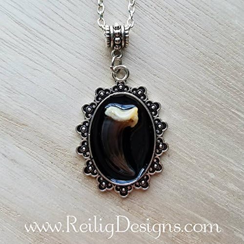 Real Coyote Claw Necklace - Silver Plated Necklace with Real Claw - Wolf Claw - Wolf Necklace
