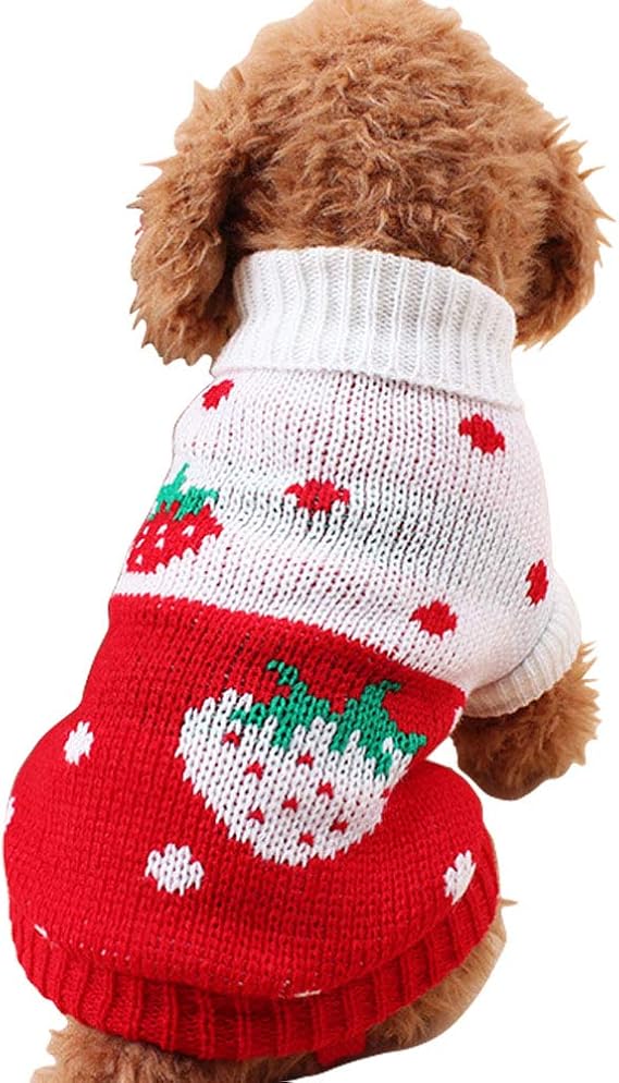 x small dog sweater
