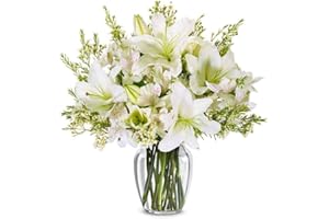 From You Flowers - Life Well Lived Lily Bouquet with Glass Vase | Fresh Flower Bouquets for Birthday, Anniversary, Get Well or Celebration