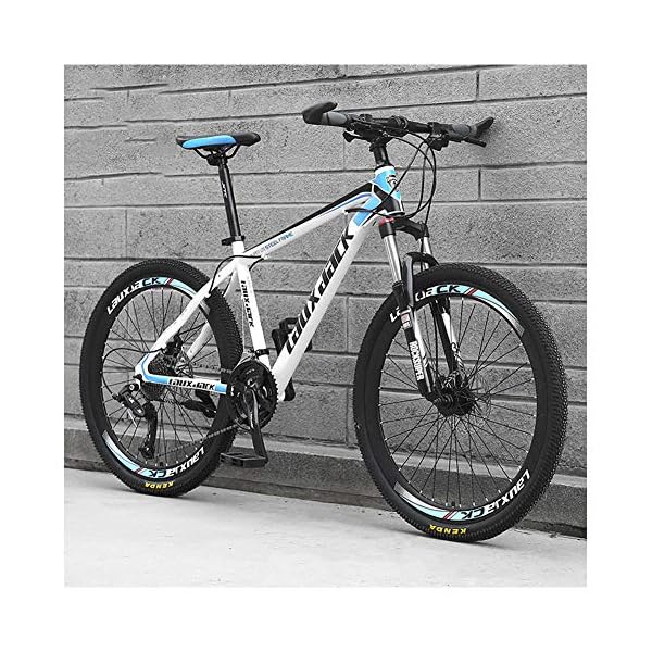 €487.94 26 Pollici 21 velocità, Adulto Bicicletta MTB, Bicicletta Mountain  Bike, Bicicletta, Biciclette, Doppio Freno A Disco… - bikewebshop.it