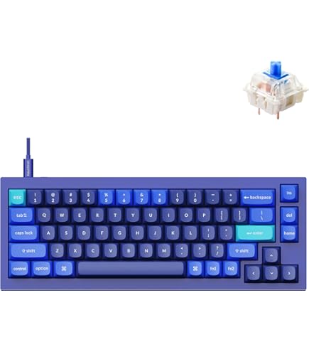 Amazon.com: Keychron Q2 Wired Custom Mechanical Keyboard, QMK/VIA