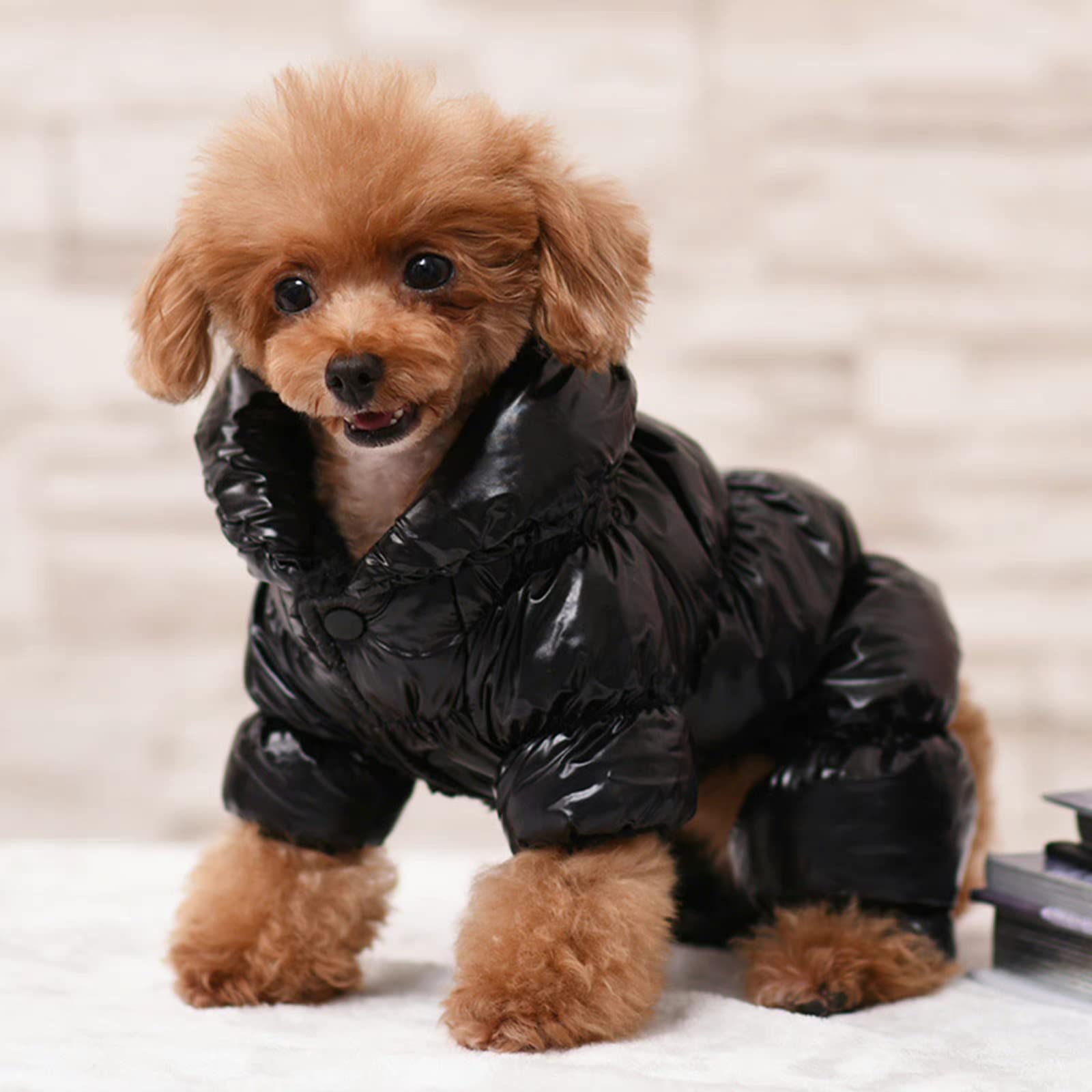 Dog Puffer Jacket - Clothing & Accessories for Dogs Water Resistant Dog Coat Thick fleece jacket-S