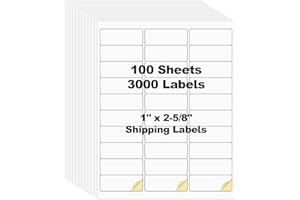 Risepekt 100 Sheets 3000 Pcs 30 Up 1" x2-5/8 Shipping Address Barcode Labels for Laser & Inkjet Printers, 1x2.625 on US Letter, 30 per Sheet Return Address Labels, 30 per Page