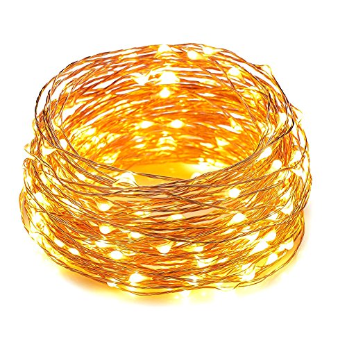 HAHOME Waterproof Led String Lights,33Ft 100 LEDs Indoor and Outdoor Starry Lights with Power Supply for Christmas Wedding and Party Decoration,Warm White