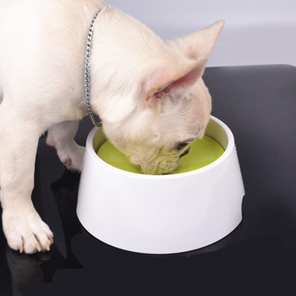 Amazon Thainペット 犬 猫 水 飲み器 給水器 水飲み 食器 ボウル 濡れない 1000ml Abs樹脂 飛び散り防止 溢れ 飛び出さない 水 ゆっくり 飲み プラスチック おしゃれ 水飲み ホワイト グリーン Thain ペット用品 通販