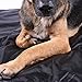 Max and Neo Waterproof Sherpa Fleece Dog Blanket - One Side Soft Sherpa Fleece, One Side Ripstop Waterproof Nylon - We Donate a Blanket to a Dog Rescue for Every Blanket Sold (Large, Black/Gray)