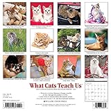 Image de What Cats Teach Us 2017 Wall Calendar