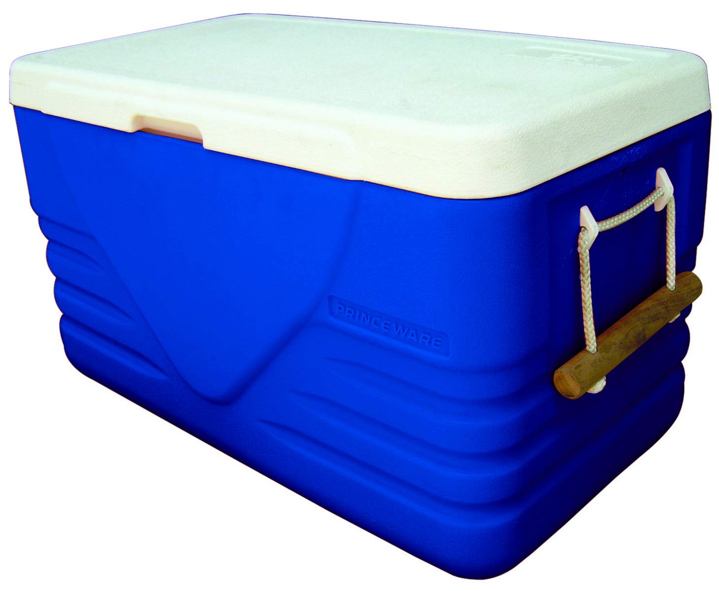 ice box 100 ltr price