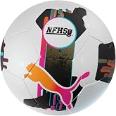 Puma Orbita 3 English Football League Sky Bet Soccer Ball (FIFA Quality)