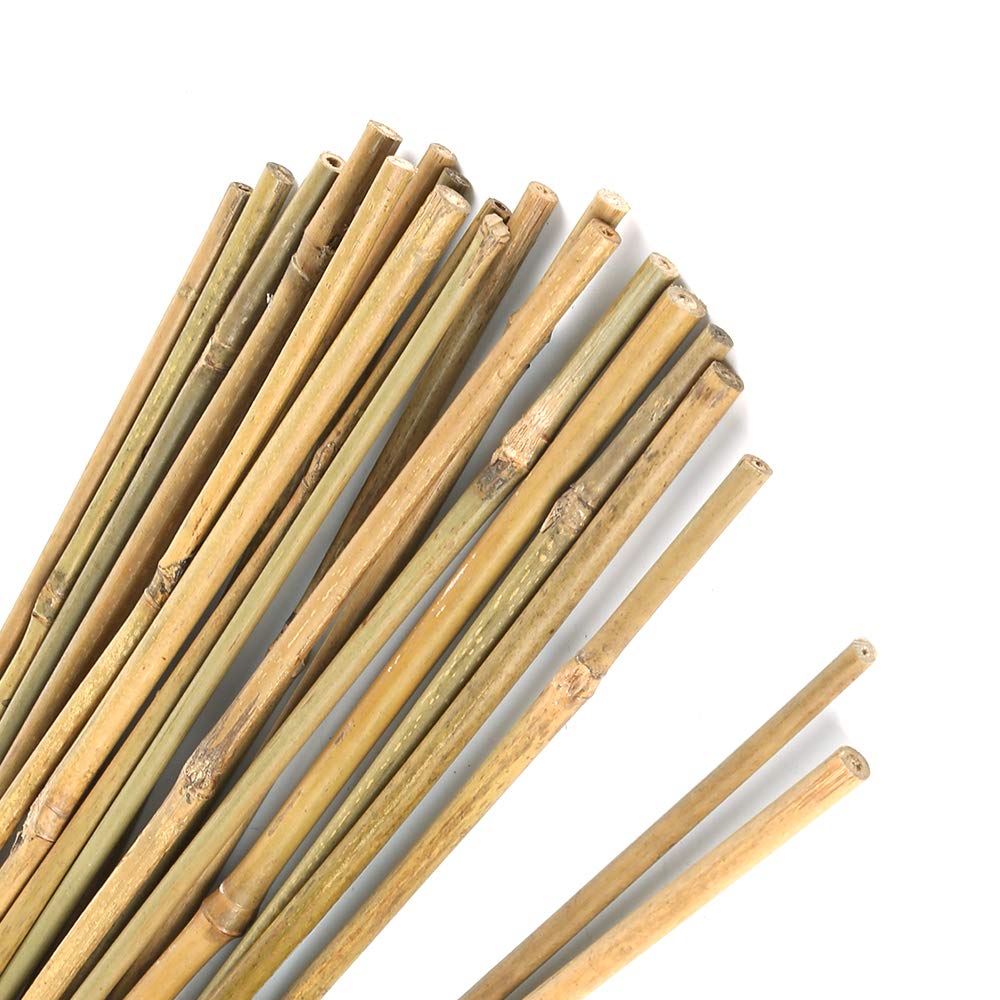 Pllieay 1.33'/16 inch Natural Thick Bamboo Stakes Garden Stakes for Indoor Gardening Plant Supports