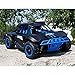Blexy RC Truck 1/18 Scale Remote Control Car 2.4Ghz 4WD High Speed Off-Road Electric Vehicles for kids 