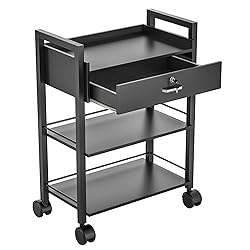 Salon Beauty Cabinet Cart Trolley 2-Layer Rolling