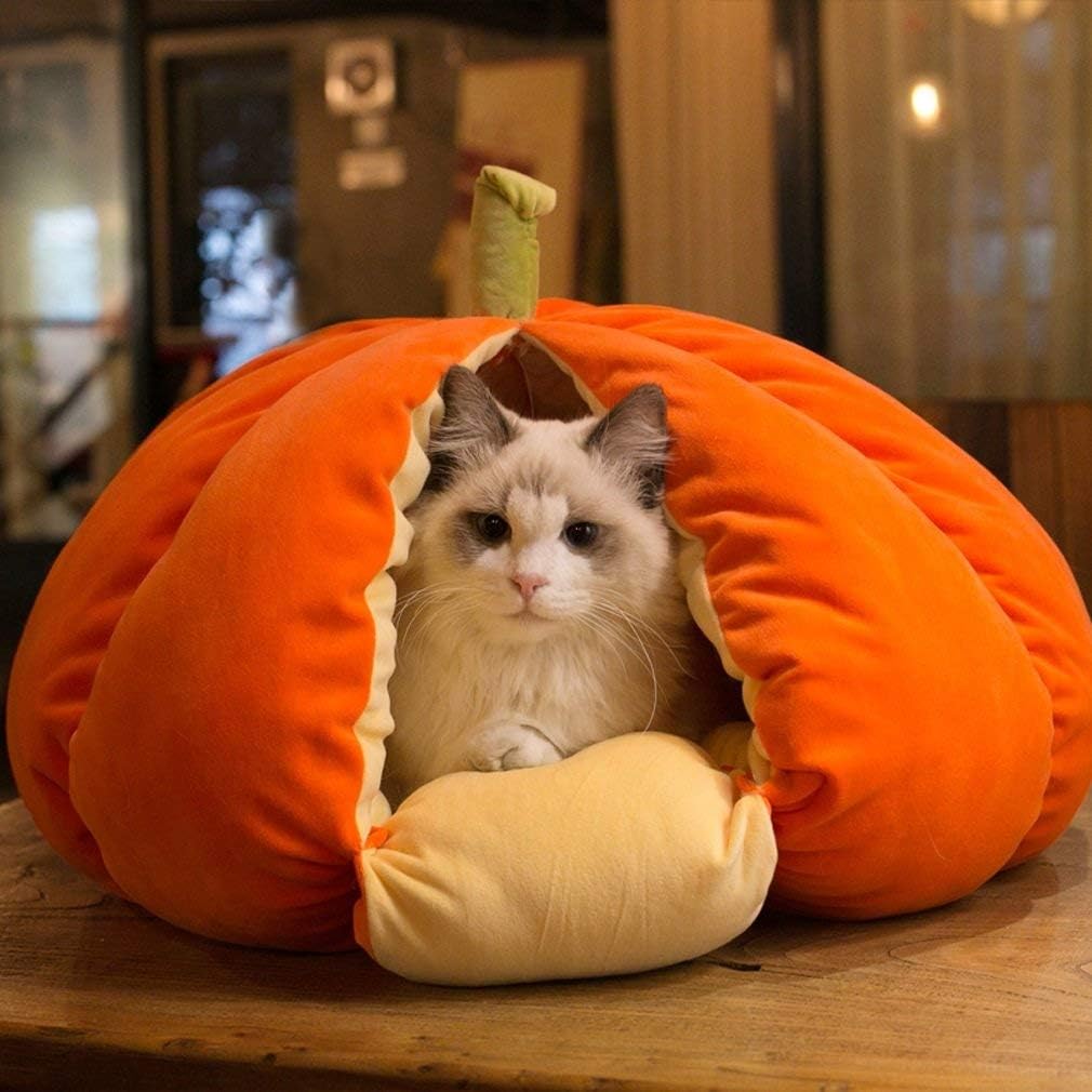 halloween cat bed