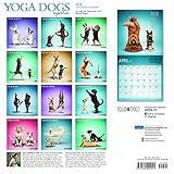 Image de Yoga Dogs Together 2018 12 x 12 Inch Monthly Square Wall Calendar with Foil Stamped Cover by Plato, Animals Humor Dog (English, French and German Edit