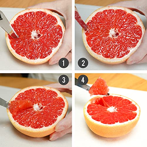 Better Houseware Grapefruit Knife curved serrated Stainless Steel Knife
