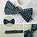 DBF0170 Multiple Colors Patterned Handsome Goods Poly Bow Ties Cheap Gift 5 Pre-tied Bow Ties Set By Dan Smith