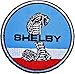 SHELBY Gt Cobra Mustang Ford Cars Patch Sew Iron on Logo Embroidered Badge Sign Emblem Costume BY Dreamhigh_skyland