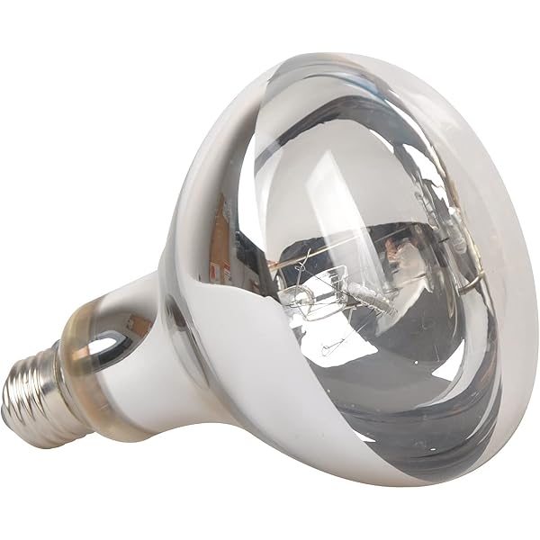 Amazon.com: BONGBADA 2 Pack Heat Lamp Clear Infrared Bulbs PAR38/175 Watts  Glass Lamp Bulb for Food Service, Brooder Bulb, Chicks, Pet, Bathroom,  Light Therapy Use E26 Base, Flood Light Heat Lamp Bulb :