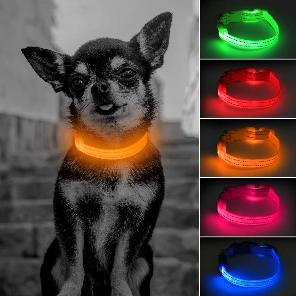 LED Cat Collar, Light up Dog Collars for Puppy, USB Rechargeable Small LED Dog Collar, Adjustable Reflective Safety Pet Collar Flashing for Cats & Small Dogs Safety (Orange, XS)