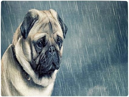 dog puzzles for kids