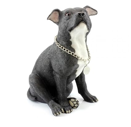 leonardo staffordshire bull terrier