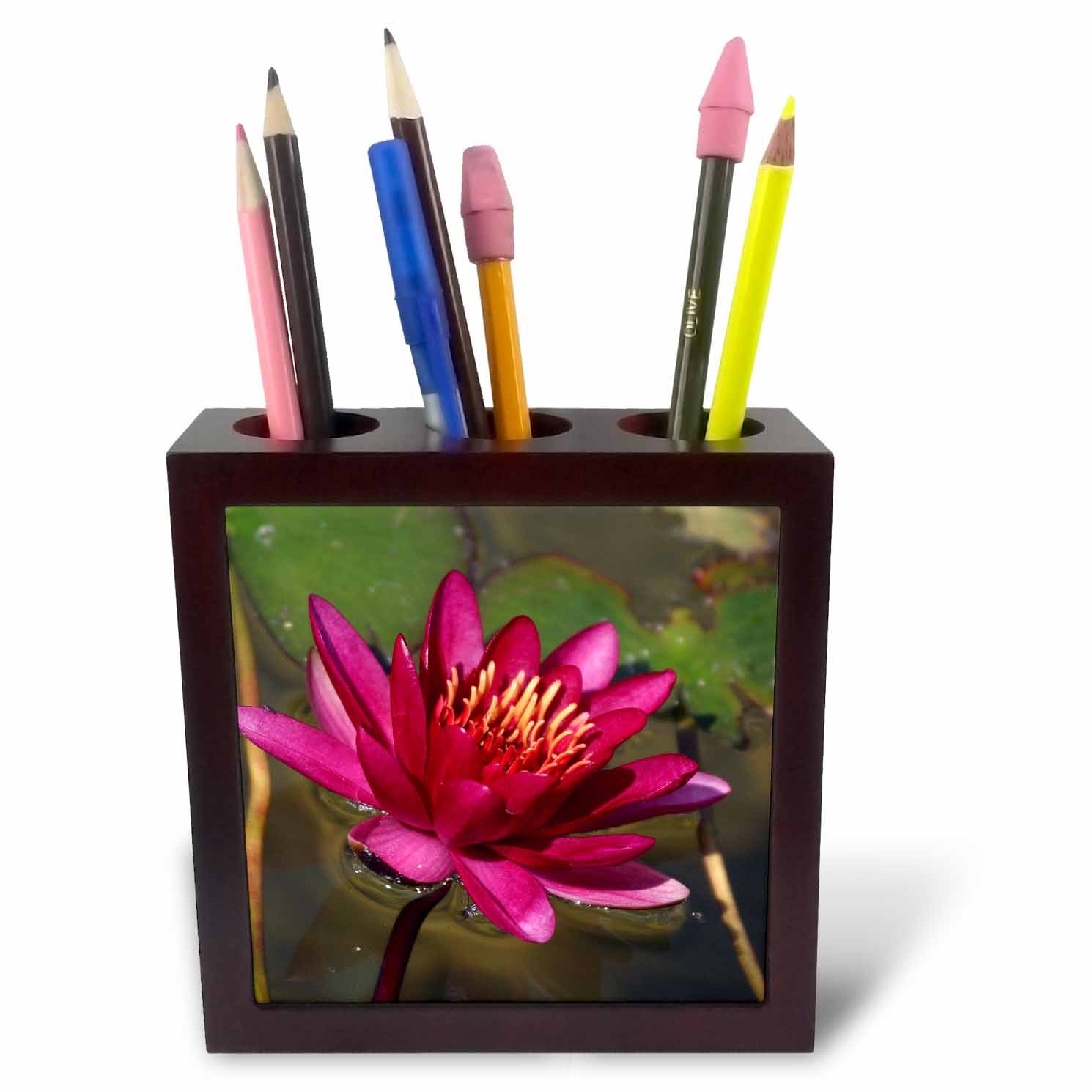 3dRose ph_228264_1 5-Inch "Magenta Water Lily" Tile Pen Holder