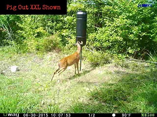 Amazon Com Deluxe Model Deer Pig Out Gravity Game Feeder Kit