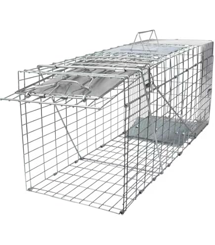 Amazon.com : Z TRAP Ztraps 6 in Dia Solid Aluminum Live No Stink