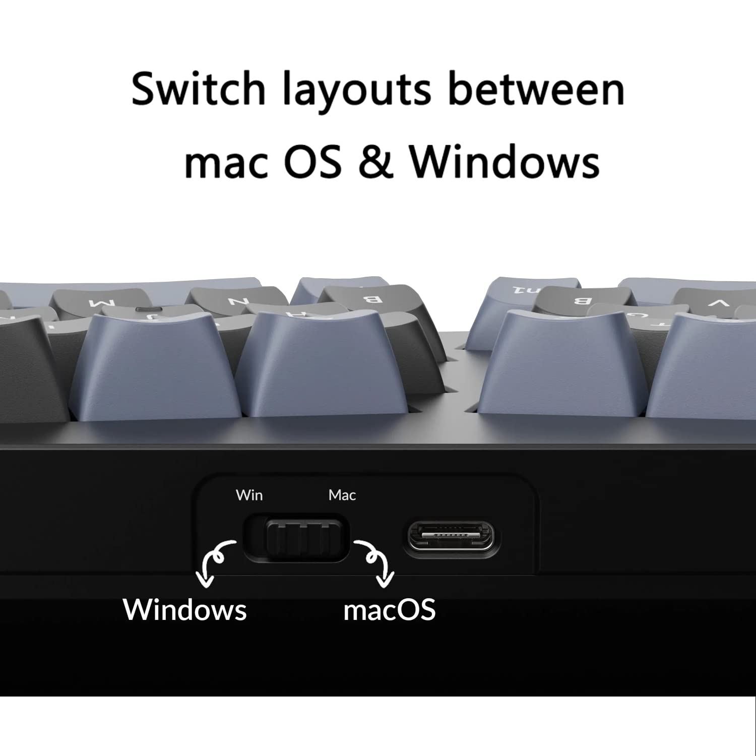 Keychron Q8 Wired Custom Mechanical Keyboard Knob Version, 65% Alice Layout QMK/VIA Programmable with Hot-swappable Gateron G Pro Red Switch Double Gasket Compatible with Mac Windows Linux (Black)