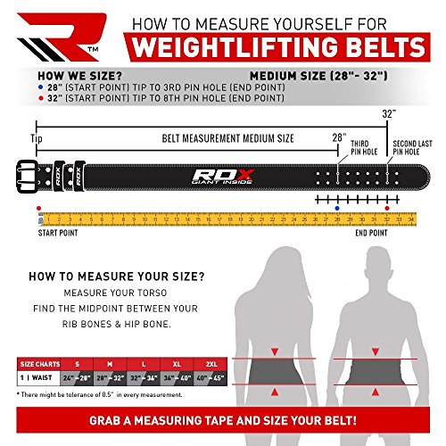 Rdx Weight Lifting Belt Size Guide Blog Dandk