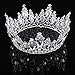 Vintage Rhinestones Crystal Crown for Women Wedding Bridal Tiara Flower Crown Hair Accessories (silver-white)